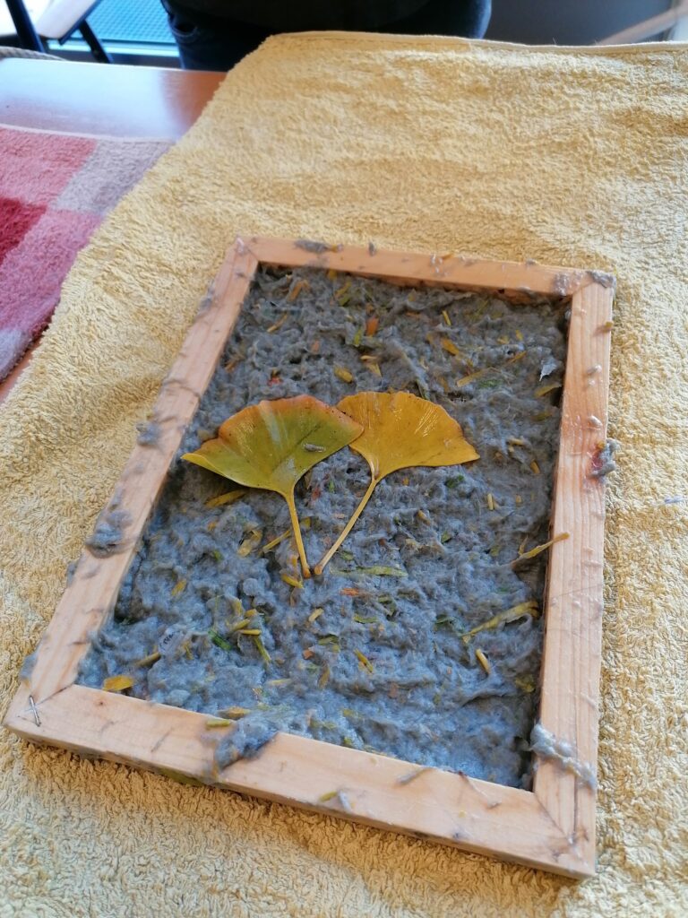 © Naturschule Innsbruck