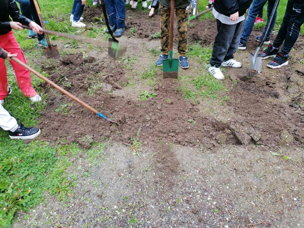 © Naturschule Innsbruck