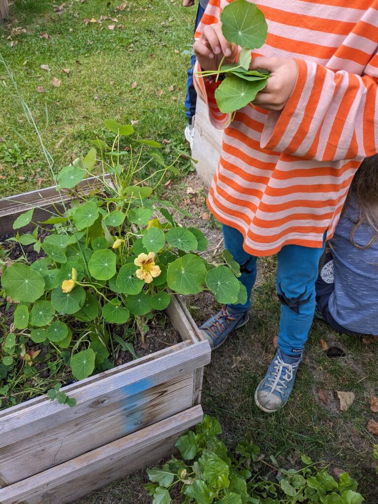 © Naturschule Innsbruck