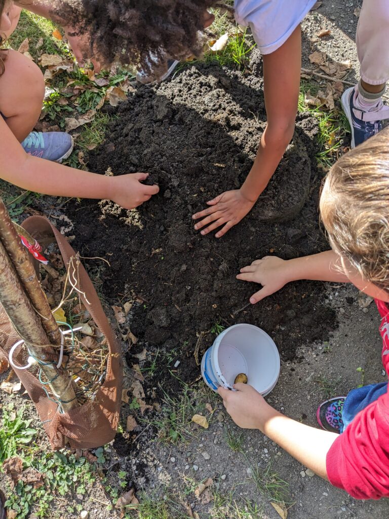 © Naturschule Innsbruck