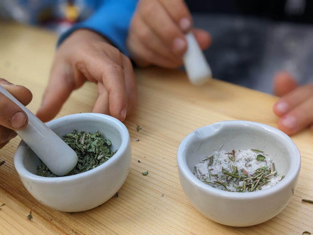 © Naturschule Innsbruck