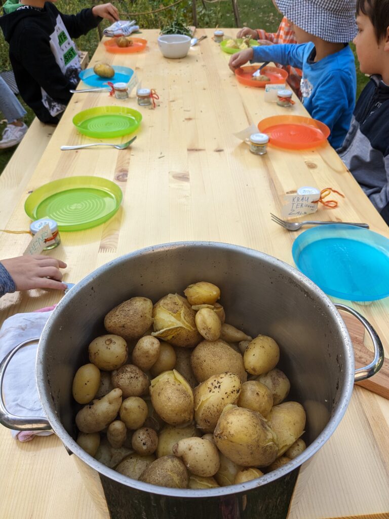 © Naturschule Innsbruck