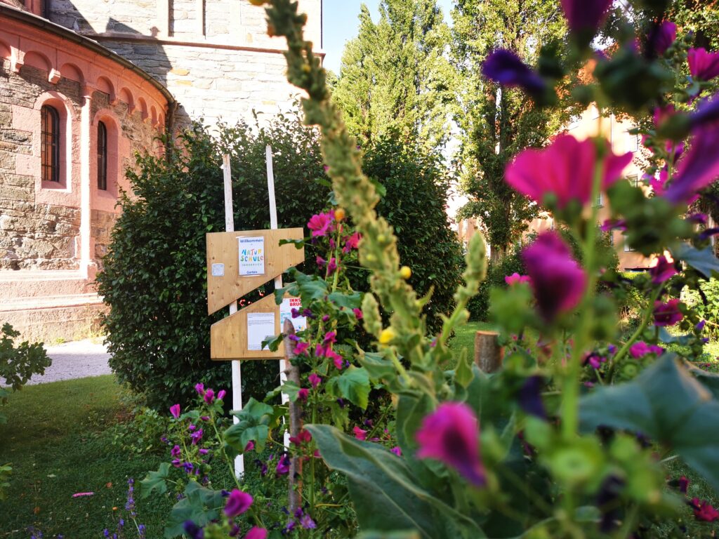 Offener Garten-Treff